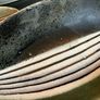 Ring Ceramic Studio dish Image 8