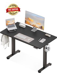 Electric Standing Desk, 120x60cm Height Adjustable Desk with 2 Memory Presets, Quiet Sit Stand Desk for Home Office Bedroom Living Room, Ergonomic Computer Desk with Hooks & Cable Holes, Black