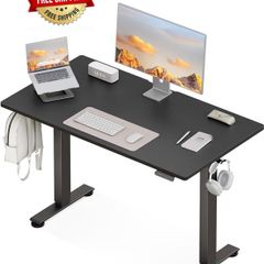 Electric Standing Desk, 120x60cm Height Adjustable Desk with 2 Memory Presets, Quiet Sit Stand Desk for Home Office Bedroom Living Room, Ergonomic Computer Desk with Hooks & Cable Holes, Black