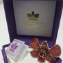 24K Gold Plating Real Orchid Brooch / Pendant A Nice Gift Image 7
