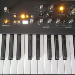 Waldorf STVC - 49 Key String synthesizer & Vocoder.