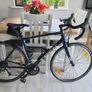 trek Domane AL 2 Image 2