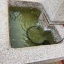 Garden fountain Image 5