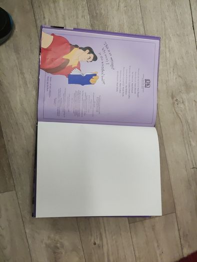 Disney Villains Book