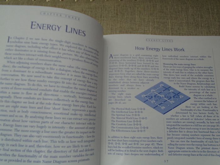 The Instant Numerologist,Book of Interpretation, Paperback book,Non fiction