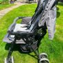 joie double buggy Image 2