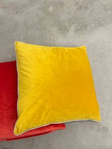 Cushion