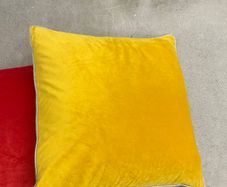 Cushion