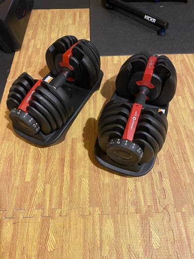 Bowflex adjustable weights