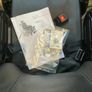 Rea Invacare Azalea tilt in space Wheelchair Image 7