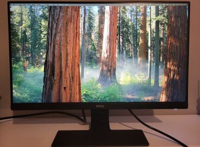 BenQ GW2480 24 inch 1080p LED IPS Monitor [3]