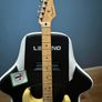 Fender Stratocaster Image 3