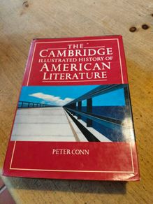.Illustrated History of American Literature by Peter Conn.