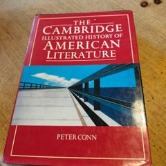 .Illustrated History of American Literature by Peter Conn.