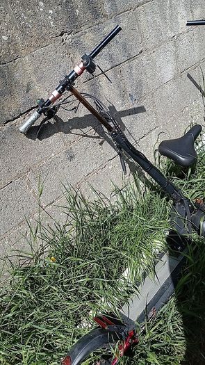 electric scooter