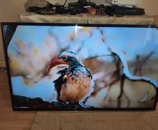 55 inch walker tv