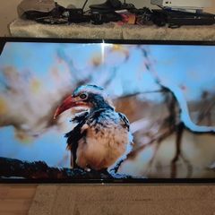 55 inch walker tv