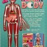 Make your own human body model Puzzle and book Image 4