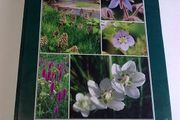 The Wildflowers of Offaly by John Feehan Ireland Irish