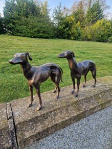 Pair of greyhounds