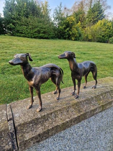 Pair of greyhounds