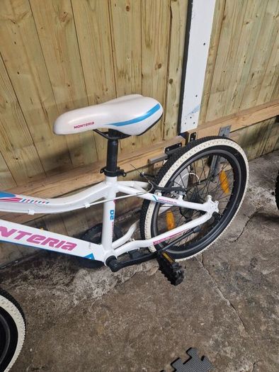 Girls 20" Bike