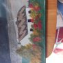 tapestry picture new Image 2