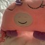 Kids sleeping bags Image 5