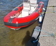 Valiant 490