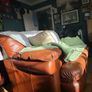 Tan Leather sofa suits Image 9
