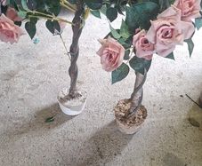 artificial rose tree's