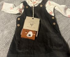 A brand new gorgeous baby girl dress from Next 1-3 mths