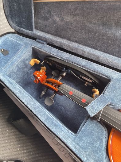 violin