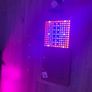 LED Grow Light Phytolamp Image 3
