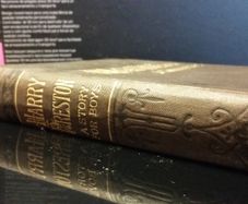 Harry Preston - A Story For Boys - Book From 19th Century