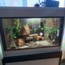 Reptile Vivarium Image 2