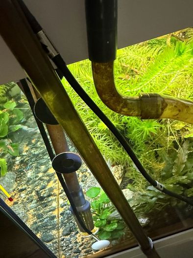 5L Co2 Bottle Full Set with plants