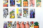 Teenage Mutant Hero Turtle Cards (1990) - TMNT Collectible