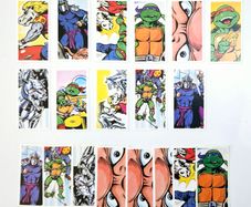 Teenage Mutant Hero Turtle Cards (1990) - TMNT Collectible