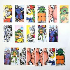 Teenage Mutant Hero Turtle Cards (1990) - TMNT Collectible