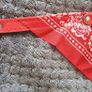 Beautiful Dog Collar Image 3