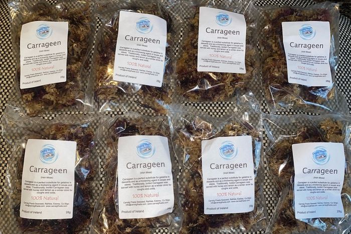Irish moss organic Carrageen seaweeds 100 % natural superfood