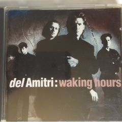 Del Amitri [1989] Waking Hours (CD Album)