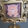 Cat picture Image 2