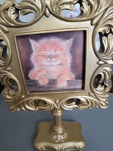 Cat picture