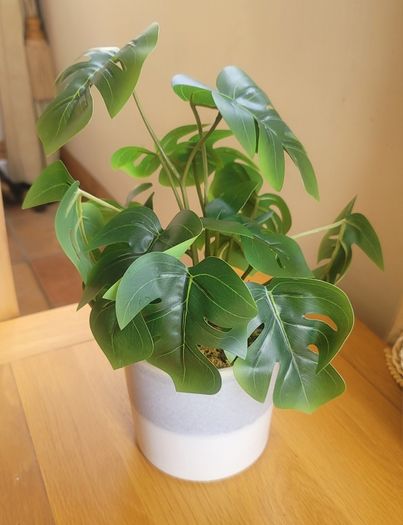 Artificial Monstera Plants in Ceramic Pots x 2
