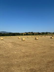 High quality hay and haylage for sale
