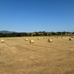 High quality hay and haylage for sale