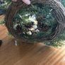 Blush tone festive wreath Image 3