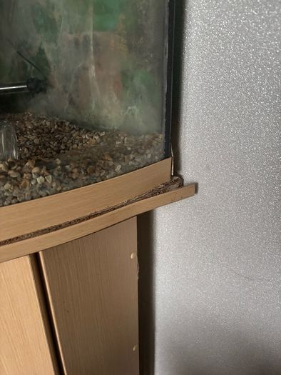 60L fish Tank w/ Pump and filter